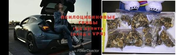 ешки Медвежьегорск