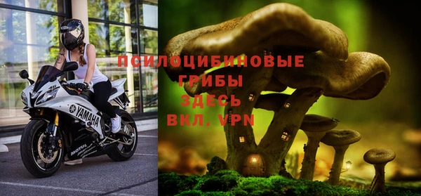соль курить ск Медногорск