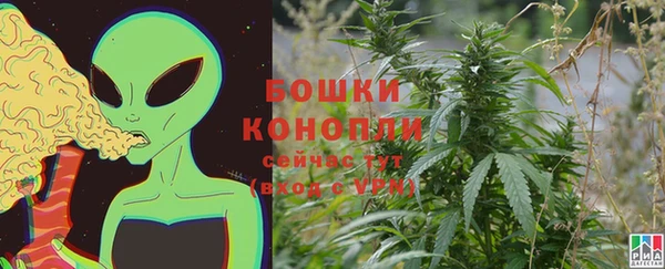 СК Мегион