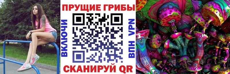 Купить закладки  Холмск  Галлюциногенные грибы ЛСД 